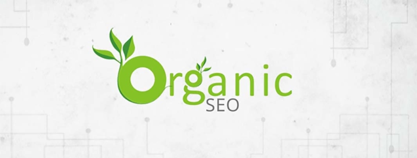 organic seo consultant