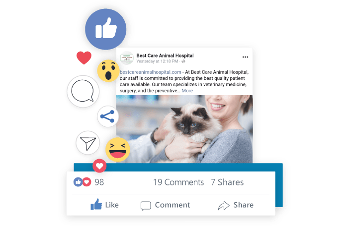 social media management